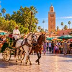 essaouira and marrakech tour